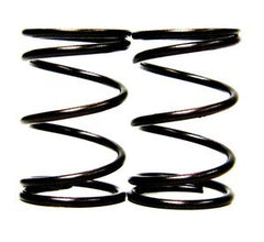 VALVE SPRINGS 10.8 GREEN STRIPE