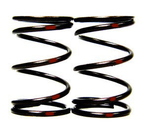 VALVE SPRINGS RED