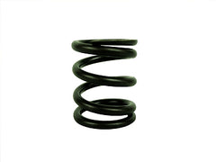 VALVE SPRING 18 LB